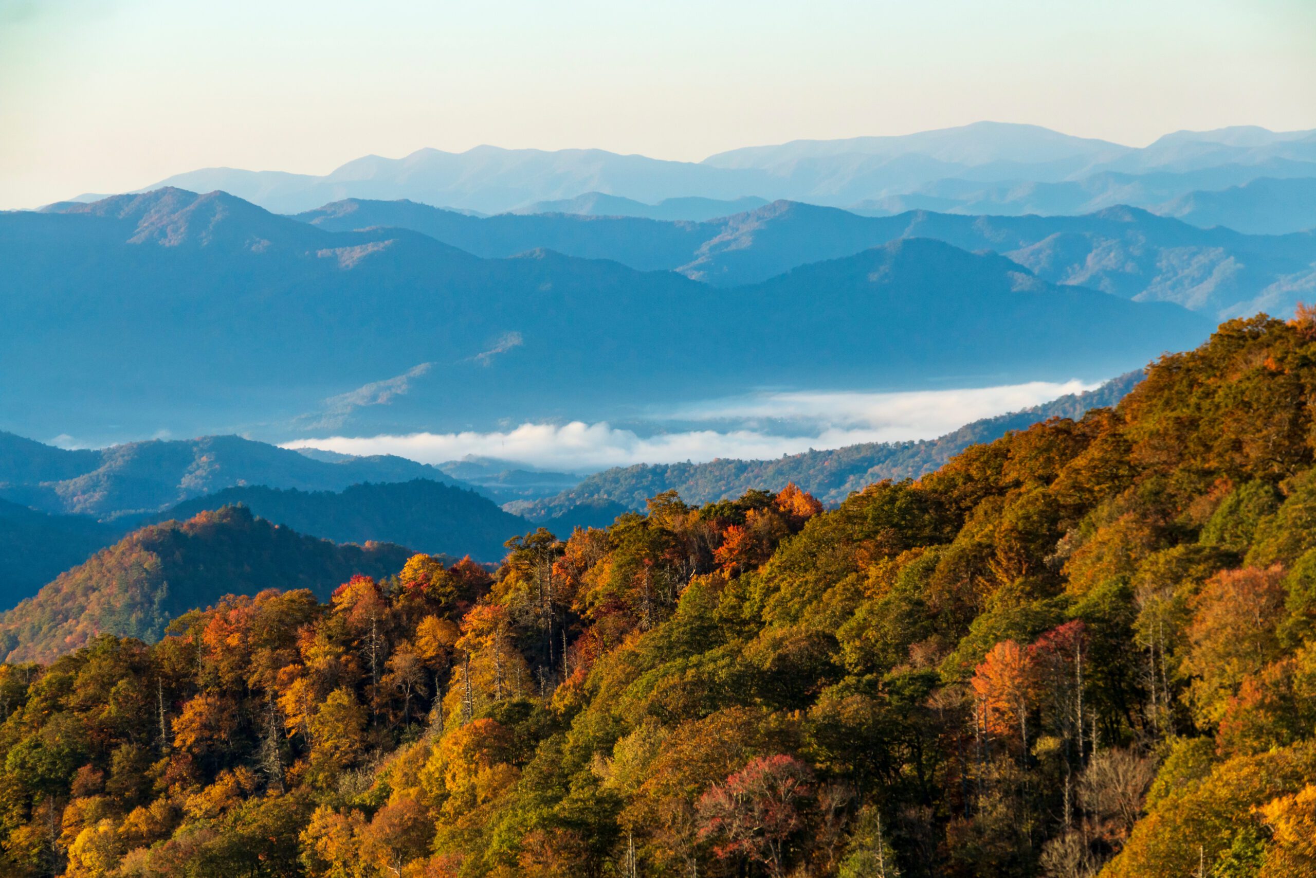 RHI to Lead $2.5M Study of NC Rural Healthcare